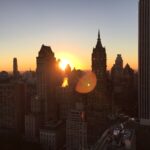 Tag 4 - Central Park / Naturkundemuseum Tag 4 - Central Park