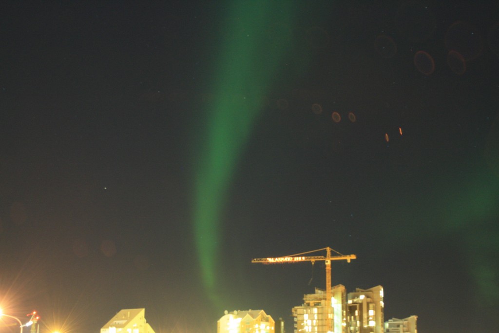 Nordlichtjagd in Reykjavik auf eigene Faust IMG_0105