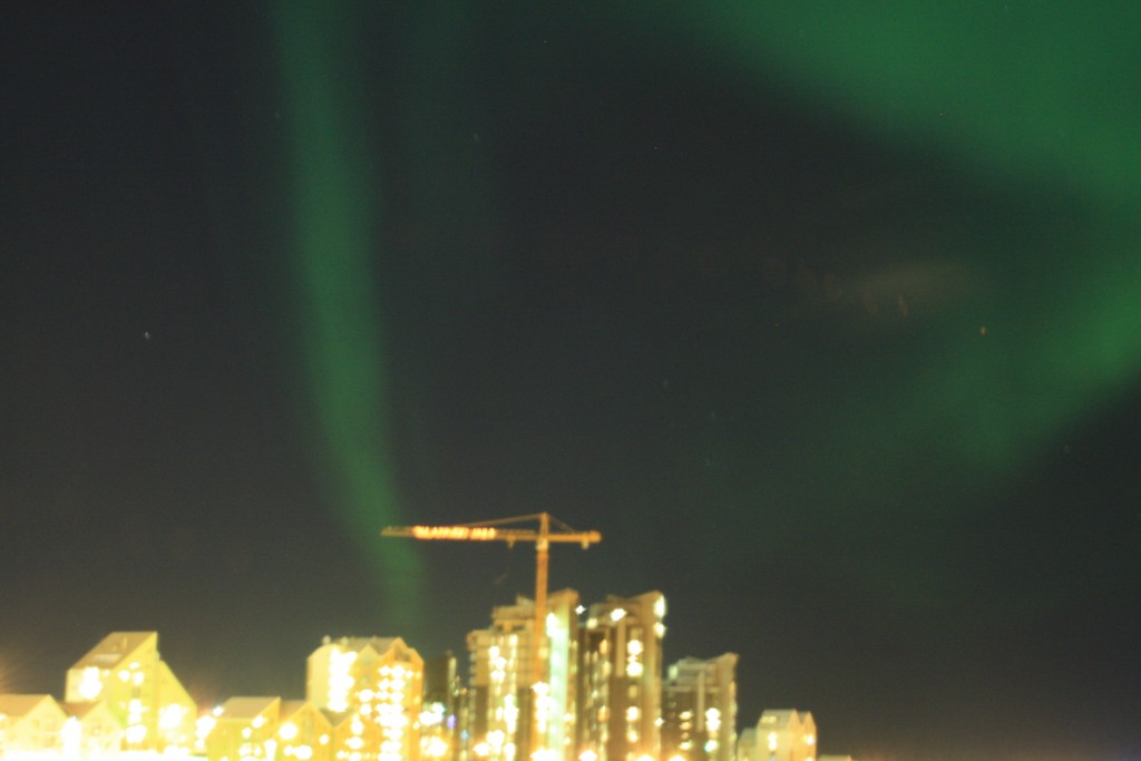 Nordlichtjagd in Reykjavik auf eigene Faust IMG_0112