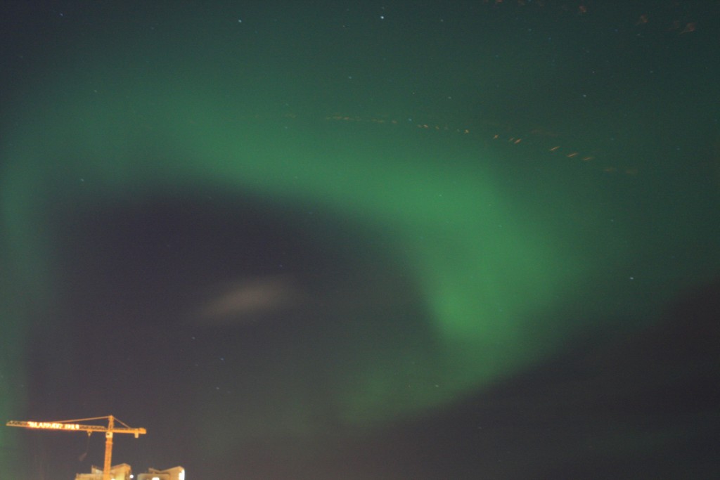 Nordlichtjagd in Reykjavik auf eigene Faust IMG_0113