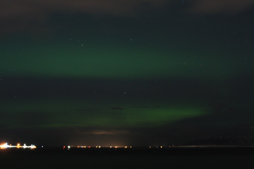 Nordlichtjagd in Reykjavik auf eigene Faust Nordlichtjagd in Reykjavik auf eigene Faust