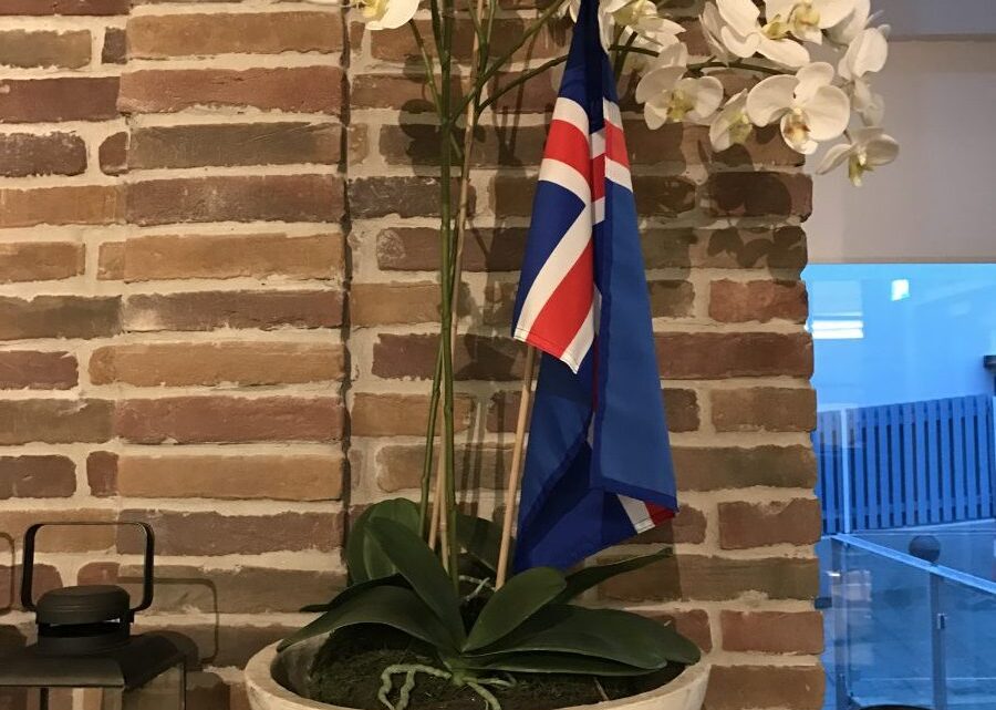 Hotel Island in Reykjavik