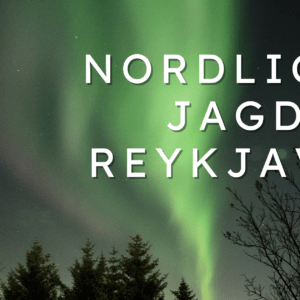 Nordlicht Jagd in Reykjavik