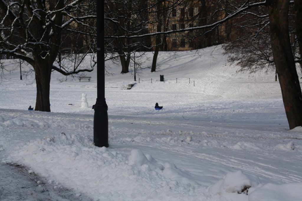 4 Stunden in Oslo - Lohnt das? Natürlich.