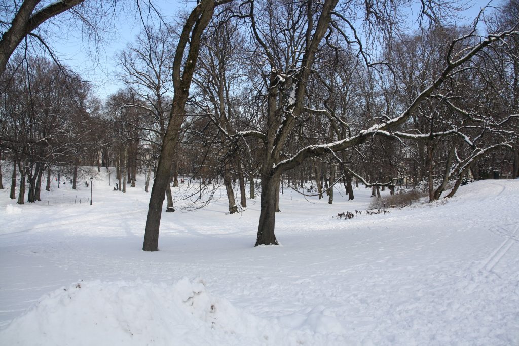 4 Stunden in Oslo - Lohnt das? Natürlich.