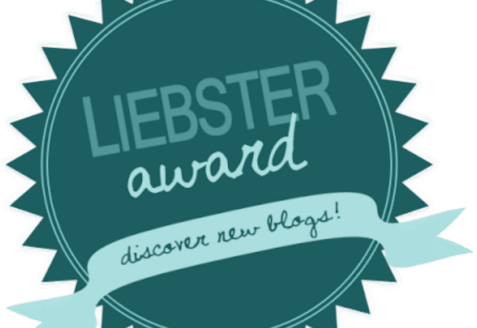 Liebster Award – 11 Fragen über unseren Blog