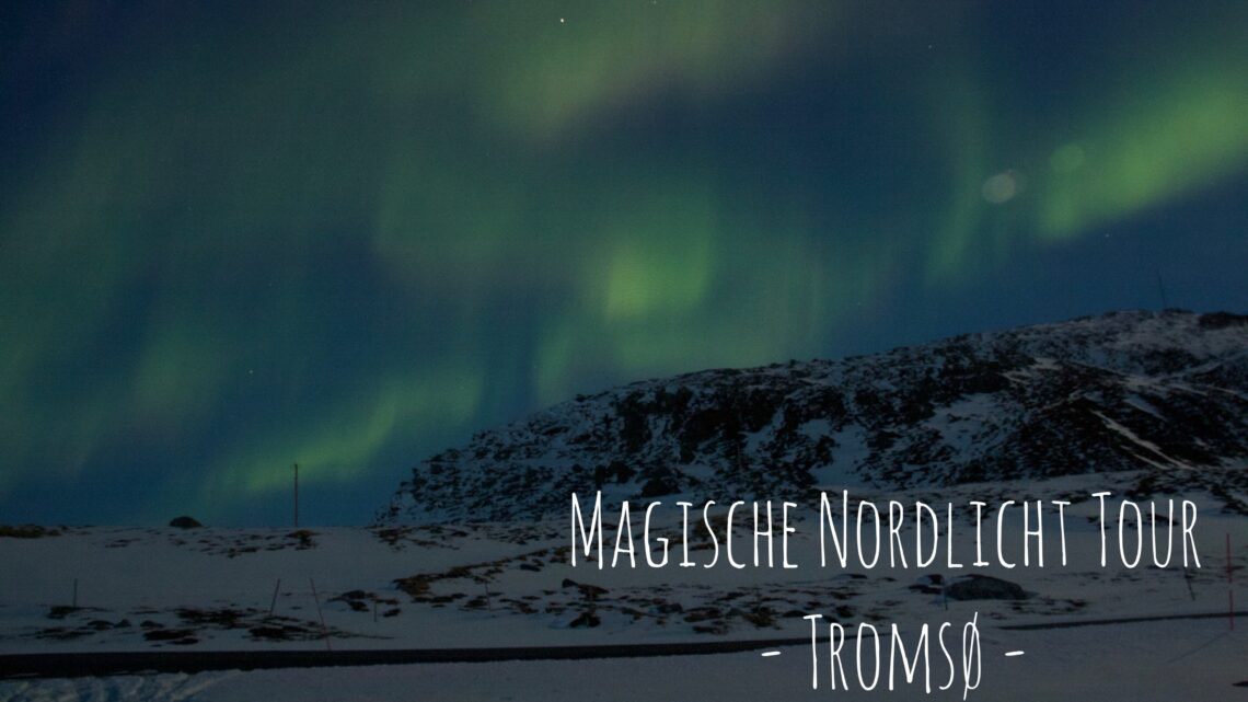Magische Nordlichter in Tromsö - The Aurora Tour