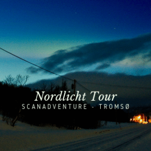 Eine Nordlichttour mit Scanadventure in Tromsø