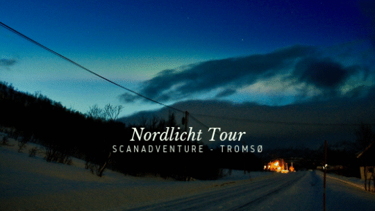 Nordlicht Tour Tromsø – Scan Adventure Travel AS