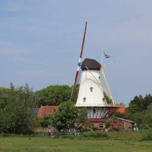 Die Pfannkuchenmühle de Graanhalm - Burgh Haamstede Die Pfannkuchenmühle de Graanhalm - Burgh Haamstede