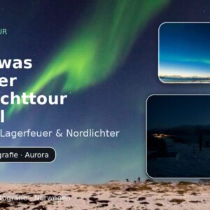 Ein etwas anderer Nordlichttour Artikel Ein etwas anderer Nordlichttour Artikel