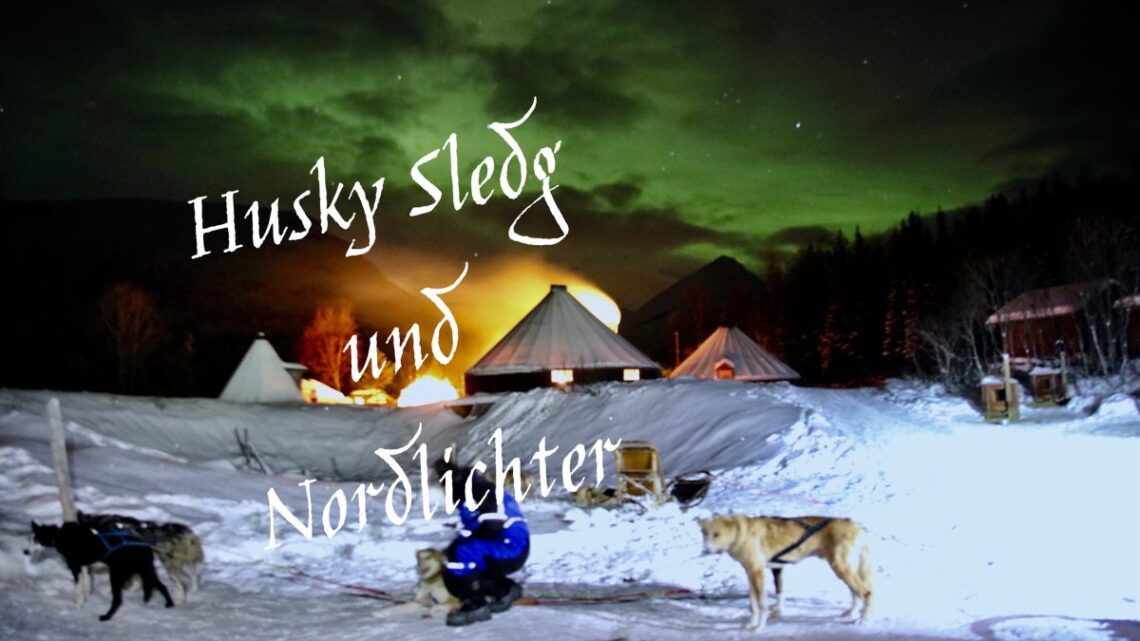 Husky Hundeschlittenfahrt unter Nordlichtern – Tromsø