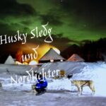 Husky Hundeschlittenfahrt unter Nordlichtern - Tromsø Husky Hundeschlittenfahrt unter Nordlichtern - Tromsø