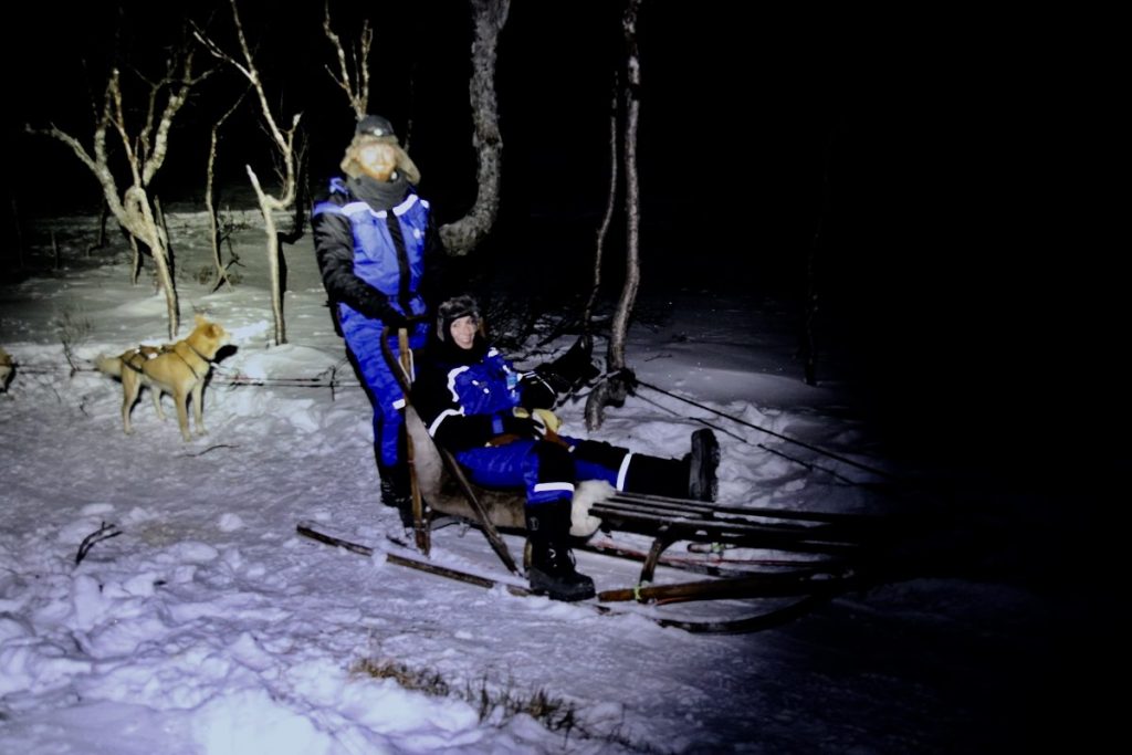 Husky Hundeschlittenfahrt unter Nordlichtern 