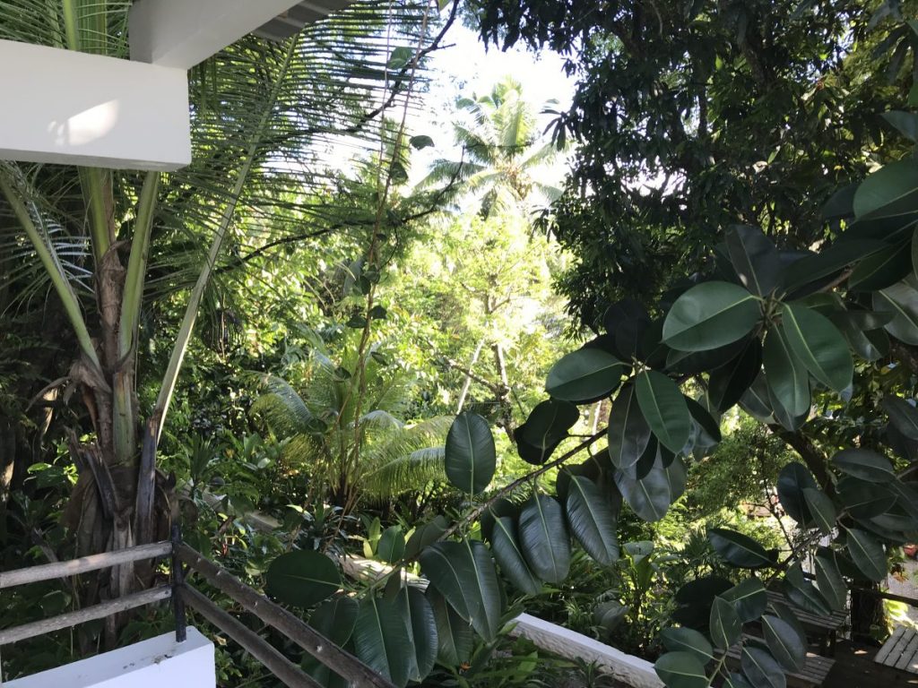 Der Norden von Mahé - Bliss Boutique Hotel Seychelles