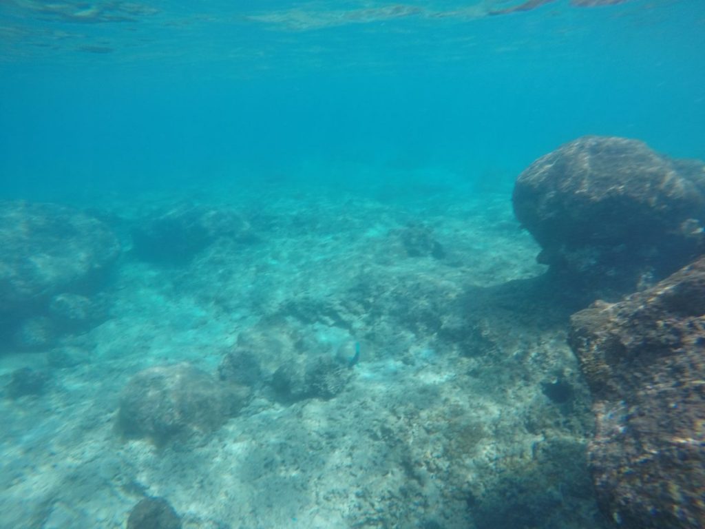 Der Norden von Mahé - Bliss Boutique Hotel Seychelles