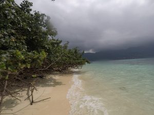 Cerf Island der Seychellen - Trauminsel