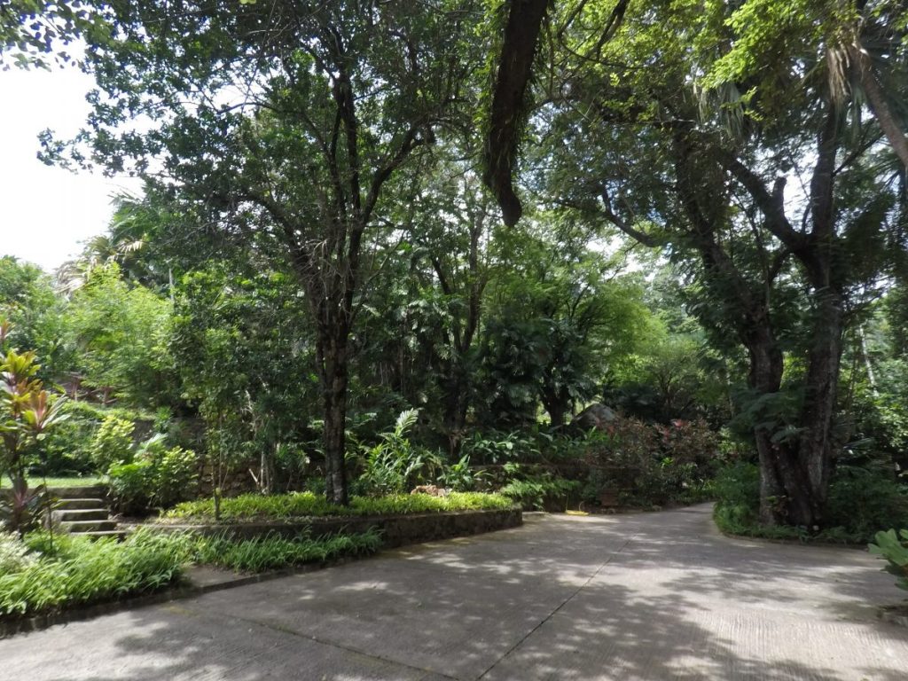 Botanischer Garten in Victoria, Mahé - Seychellen