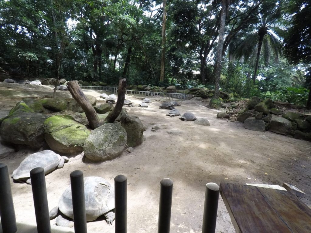 Botanischer Garten in Victoria, Mahé - Seychellen
