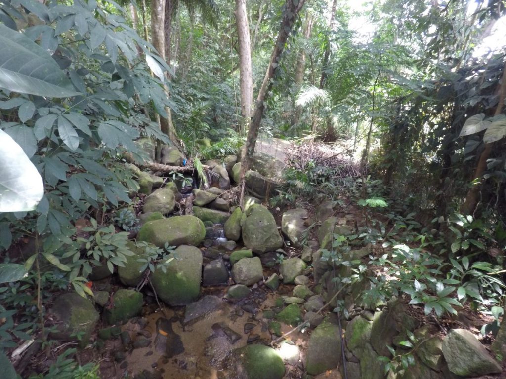 Botanischer Garten in Victoria, Mahé - Seychellen