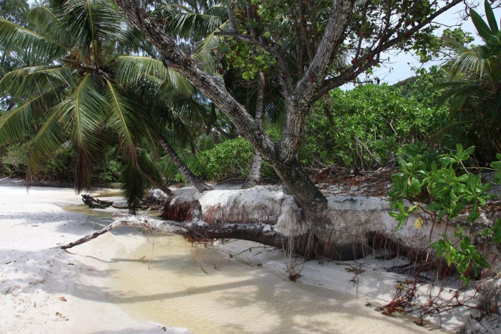 Seychellen Anse Lazio Traumstrand auf Praslin