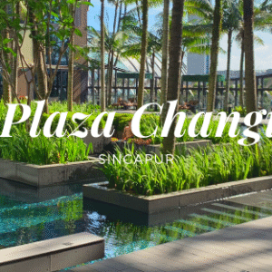 Crowne Plaza Flughafenhotel Changi Airport Singapore - Titel