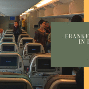 Die Economy Class im A380 bon Singapore Airlines