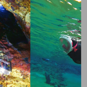 Island - Touren und mehr