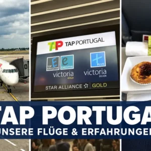 TAP Portugal TAP Portugal: Fotocollage aus unseren Flugberichten