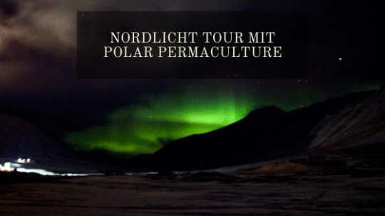 Nordlicht Tour mit Polar Permaculture