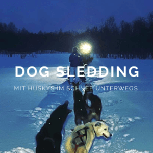 Dog Sledding mit Huskys im Schnee unterwegs