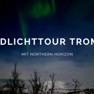 Mit Northern Horizon auf Nordlicht Tour