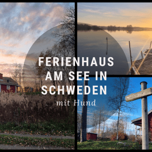Ferienhaus am See in Schweden mit Hund Ferienhaus in am See Schweden mit Hund