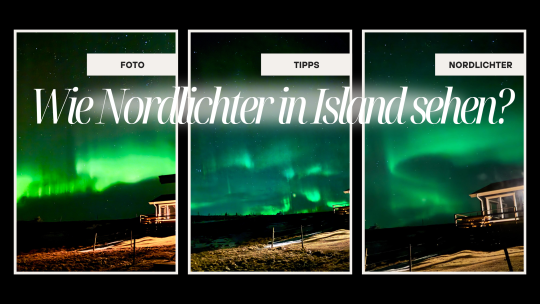 Wie Nordlichter in Island sehen?1?