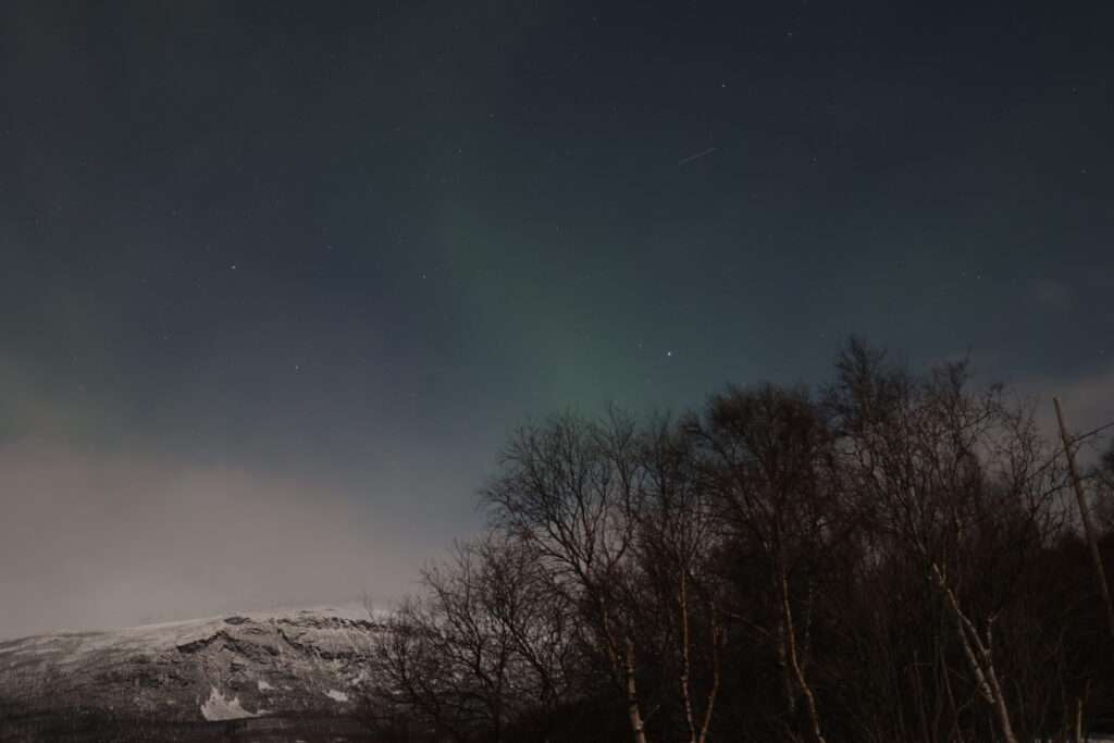 Nordlichter-Tour mit Bifröst Northern Lights – Ein Abend zwischen Schnee und grünem Himmel Nordlichter-Tour mit Bifröst Northern Lights – Ein Abend zwischen Schnee und grünem Himmel