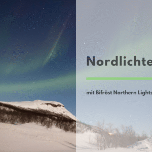 Nordlichter-Tour mit Bifröst Northern Lights – Ein Abend zwischen Schnee und grünem Himmel