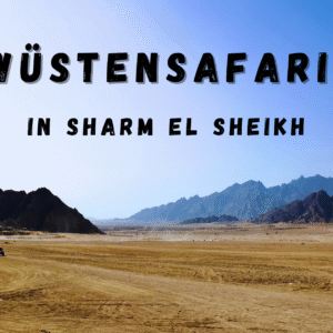 Wüstensafari in Sharm El Sheikh Wüstensafari in Sharm El Sheikh