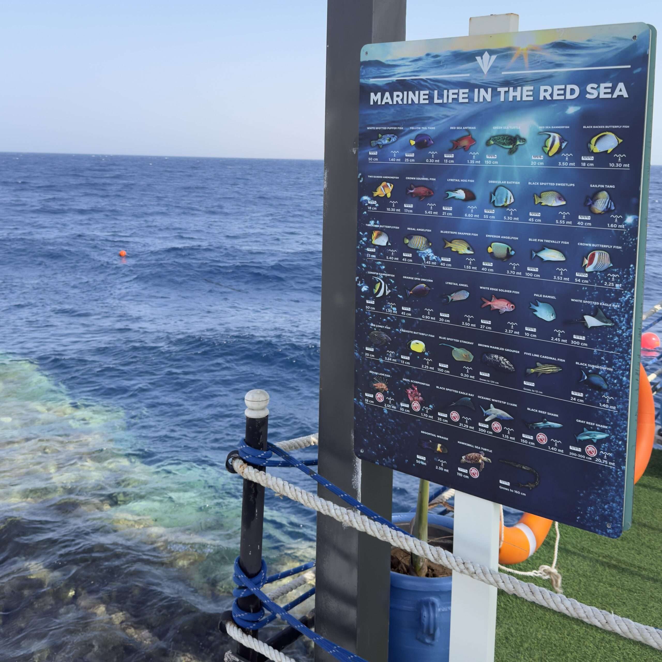 Rixos Radamis Resort Sharm El Sheikh