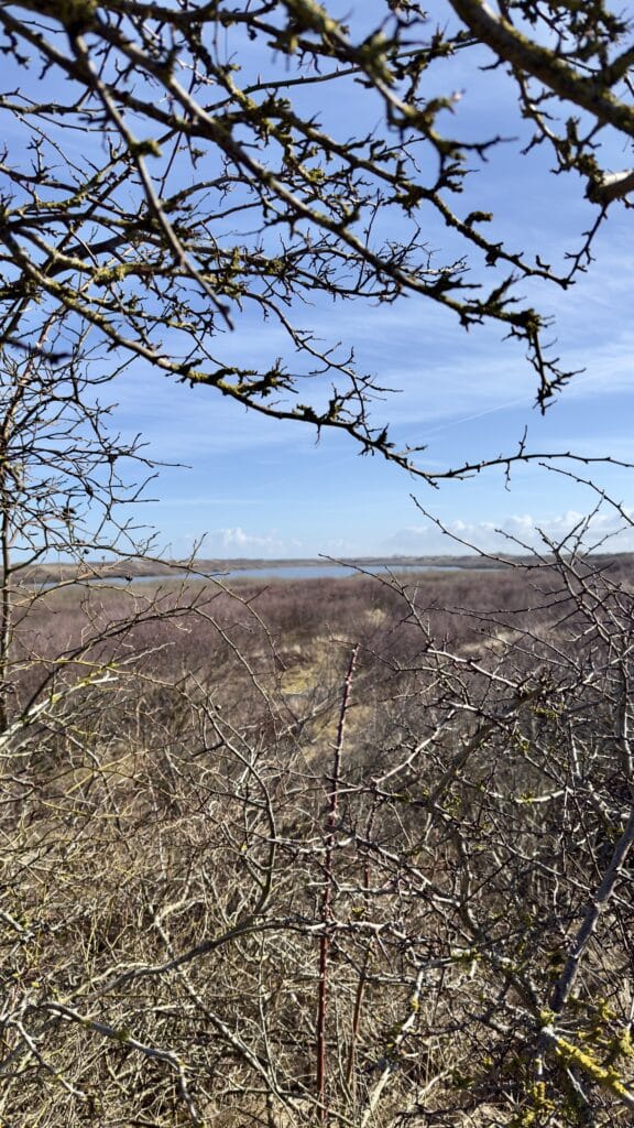 Hotel Atlantic Juist