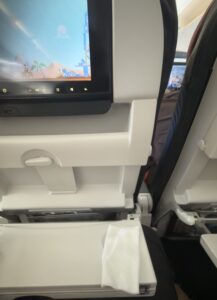 Turkish Airlines von Astana nach Istanbul im A330 und weiter nach Köln Sitz und heißes Tuch an Bord